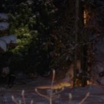 Det lyser fint genom snön